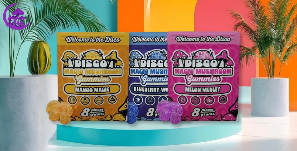 disco magic mushroom gummies​