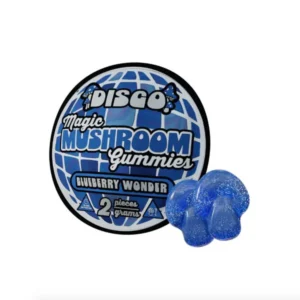 Disco Magic Mushroom Gravity Gummies - 2000MG